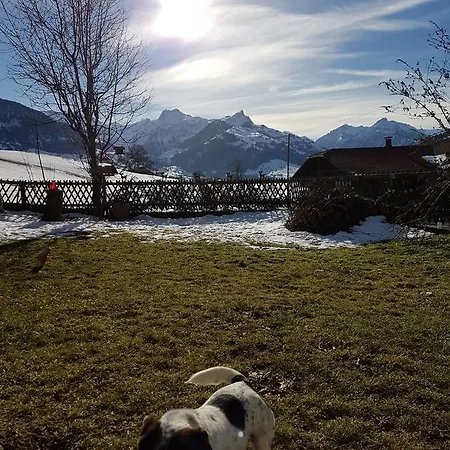 Chalet Sunnestube Aeschi Bei Spiez