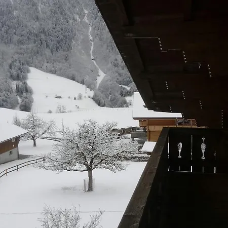 Chalet Sunnestube